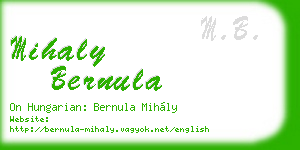 mihaly bernula business card